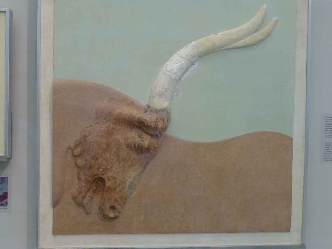 Kreta - Knossos - Archäologisches Museum